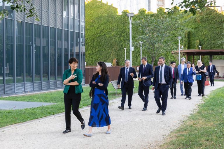 WhatsApp Image 2025-07-14 at 16.11.00